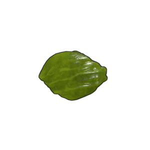 Acid Rock