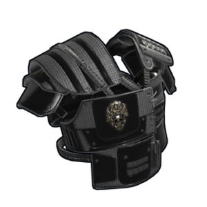 Black Diamond Roadsign Vest