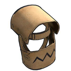 Cardboard Helmet