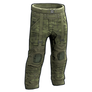 Forest Raiders Pants