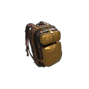 Gold Chains Backpack
