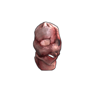 Stitched Skin