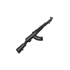 Training SKS